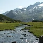 Salvia In By Interhome Apartamento Millstatt