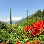 Salvia In By Interhome ميلستاف