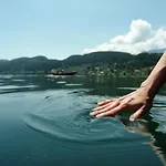 Salvia In By Interhome ميلستاف