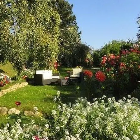 Salvia In By Interhome * Millstatt