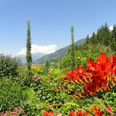 Salvia In Millstatt By Interhome Millstatt