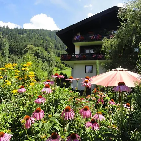 Salvia In Millstatt By Interhome Apartment